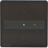 Siemens UP 201/43  Arina switch 1-f Ash gold LED