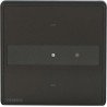 Siemens UP 201/43  Arina switch 1-f Ash gold LED